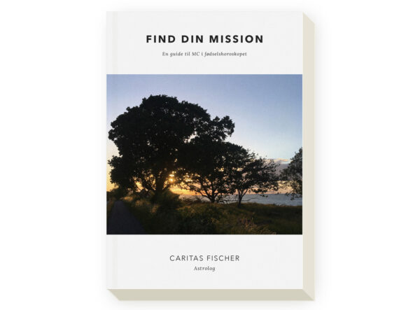 Find din mission ebog